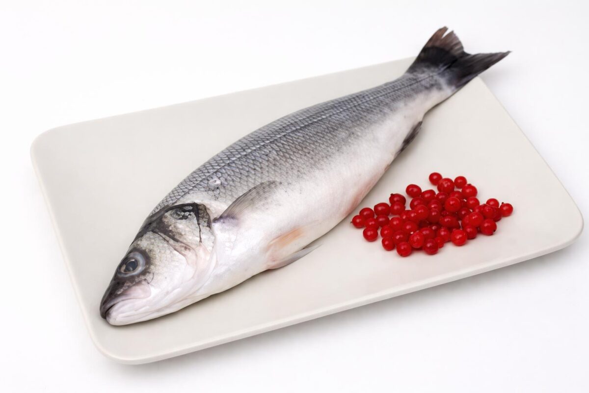 Foraje de alimentare cu apa pentru piscicultura